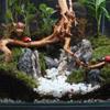 Practical New Natural Trunk Driftwood Root Wood For Aquarium Fish Tank & Reptile Terrarium Landscape Decoration Pet Supplies