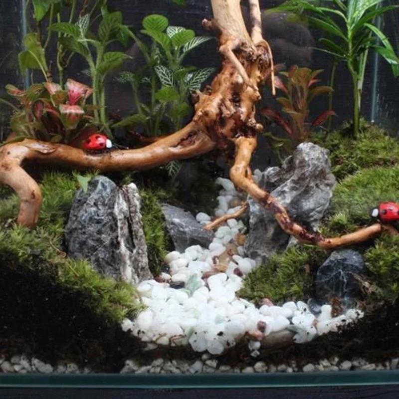 Practical New Natural Trunk Driftwood Root Wood For Aquarium Fish Tank & Reptile Terrarium Landscape Decoration Pet Supplies
