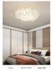 2025 Modern Minimalist Petal Ceiling Light - Full Spectrum, Warm & Romantic for Master Bedroom