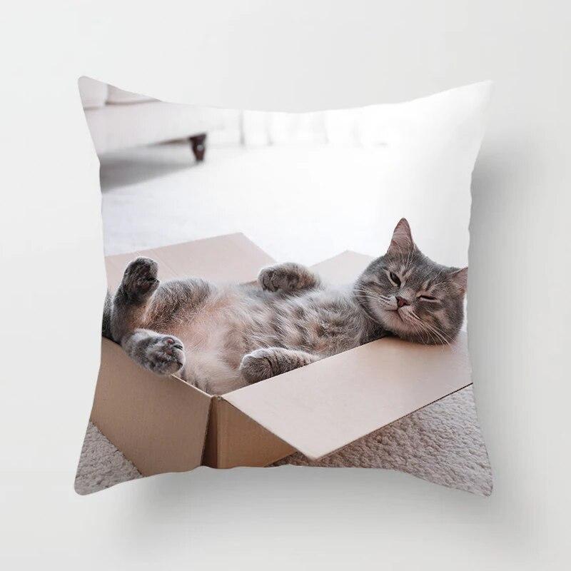 Home Decor Witchcraft Cat Stealing  Cushion Cover Cute  Sofa Car Decoration 45x45cm Pillowcase Square Polyester