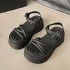 Internet Celebrities with Sandals Women Wear 2025 Summer New French Open-toe Thick-soled Heightening Beach Roman Shoes