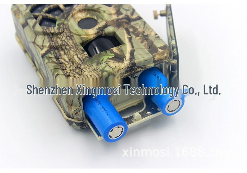 Infrared HD Outdoor Wildlife Camera with Night Vision