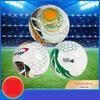Professional Thermal Bonded Size 5 Soccer Ball