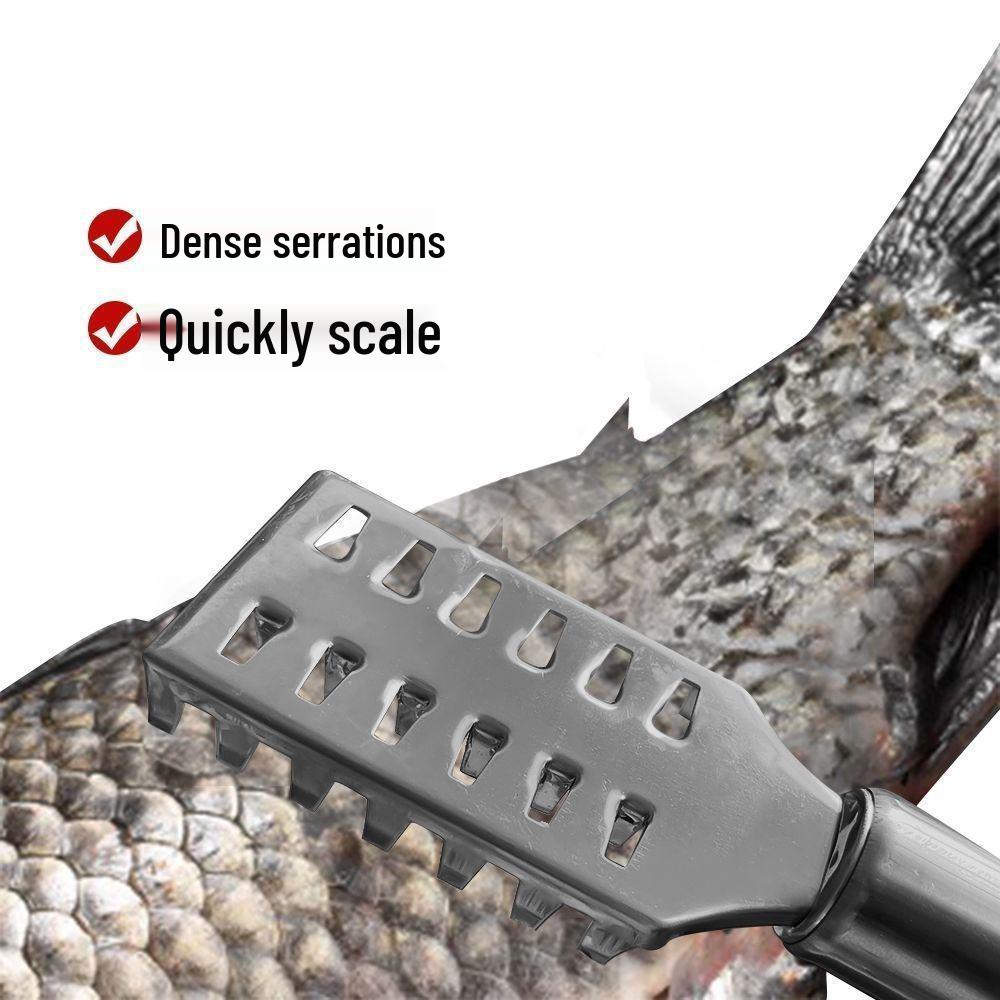 Stainless Steel Fish Scale Scraper - Kitchen Essential Descaler with Free Shipping