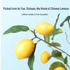 Qilixiang 100g Freeze-Dried Lemon Slices