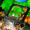 Fish Food Feeding Ring Aquarium Fish Tank Fish Feeder for Tropical Fish Food Feeding Assistant Single Layer Black Square