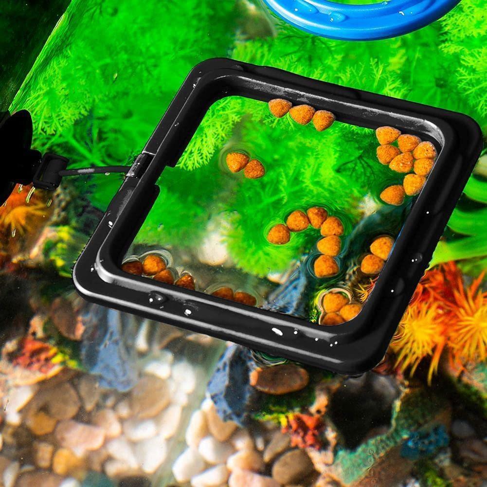 Fish Food Feeding Ring Aquarium Fish Tank Fish Feeder for Tropical Fish Food Feeding Assistant Single Layer Black Square