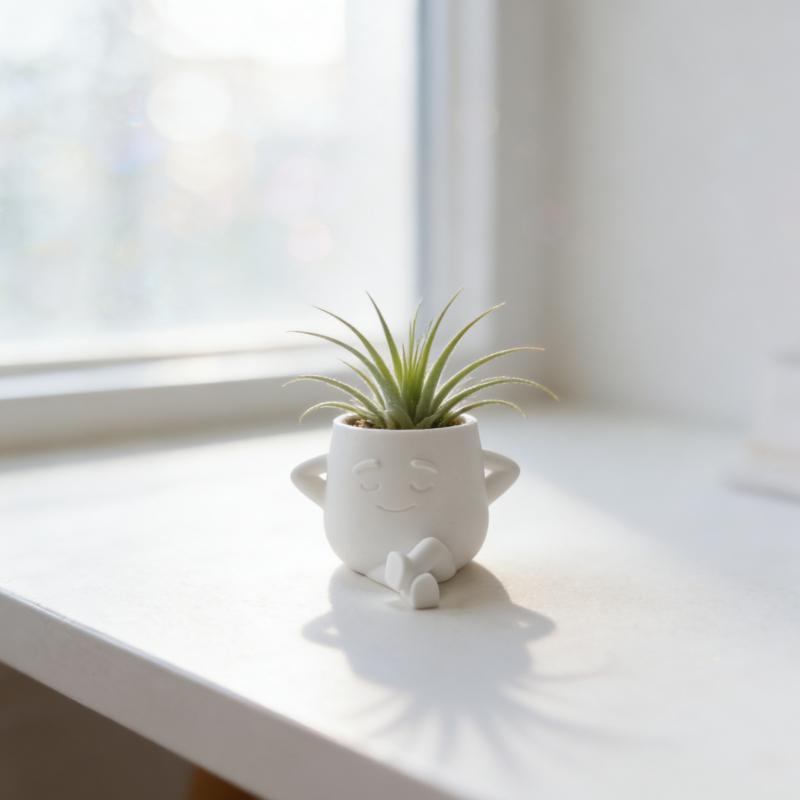 1PC Comfortable Enjoy Life, Mini Succulent Potted Plant Pot, Plastic Material, Cute Leg Cross Smiley Face Flower Pot