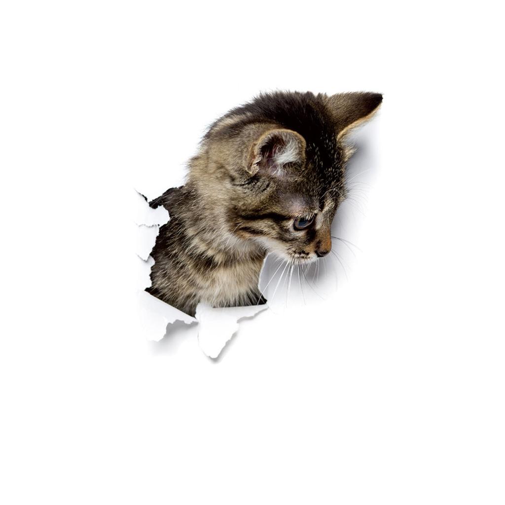 3D Toilettenaufkleber Cartoon Tiere - PVC Aufkleber Für Toilettendeckel