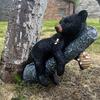 Cute Black Bear Cub Garden Statue, Tree Branch Decor with Honeycomb & Bee Accents for Outdoor Yard, Fence or Indoor Wall Decoration