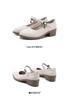 Red Dragonfly Women's Genuine Leather Mary Jane Loafers - Chunky Heel, Shallow Cut, Perfect for Spring and Autumn.