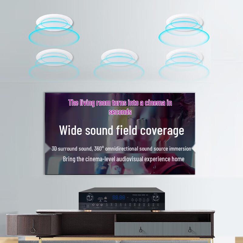 SAST 6.5-inch Coaxial Ceiling Speaker System CN Plug (adapter Included)