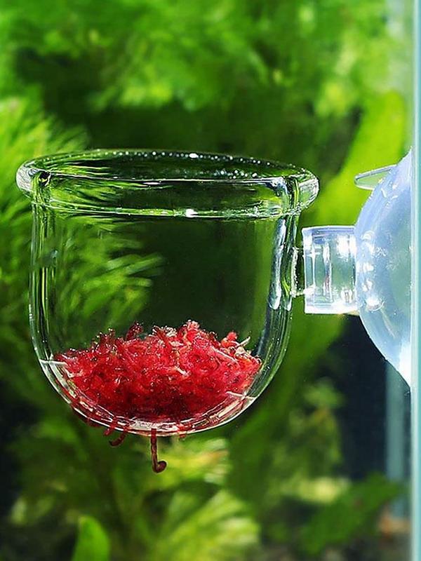 Clear Aquatic Plant Cup With Suction Holder Glass Plant Cup Pot Vase Red Worm Feeder for Fish Tank Aquarium Aquascape Decoration