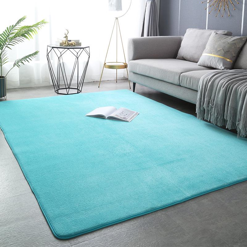 Modern Simple Style Thickened Non-Slip Coral Fleece Carpet for Living Room & Bedroom