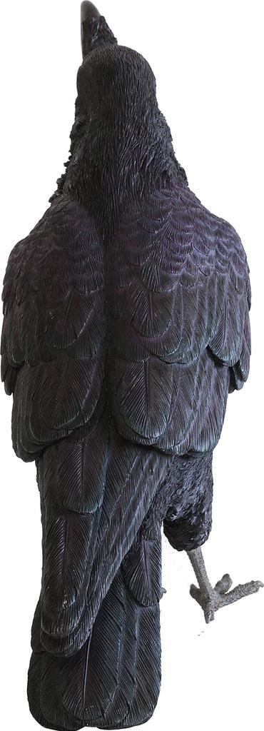 PET BANK DŽUNGLE CROW