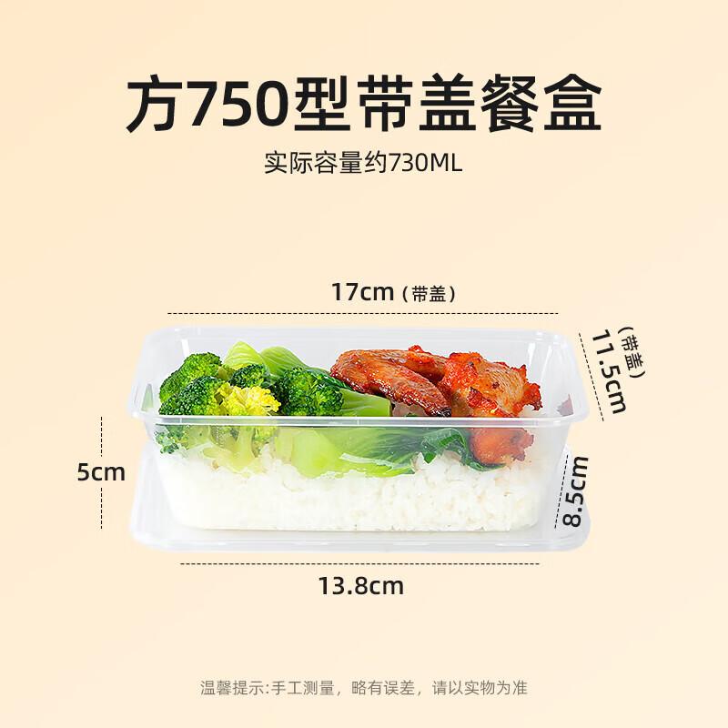 Zhenyu Rectangular Transparent Disposable Food Containers with Lids (300-Pack, 750ml)