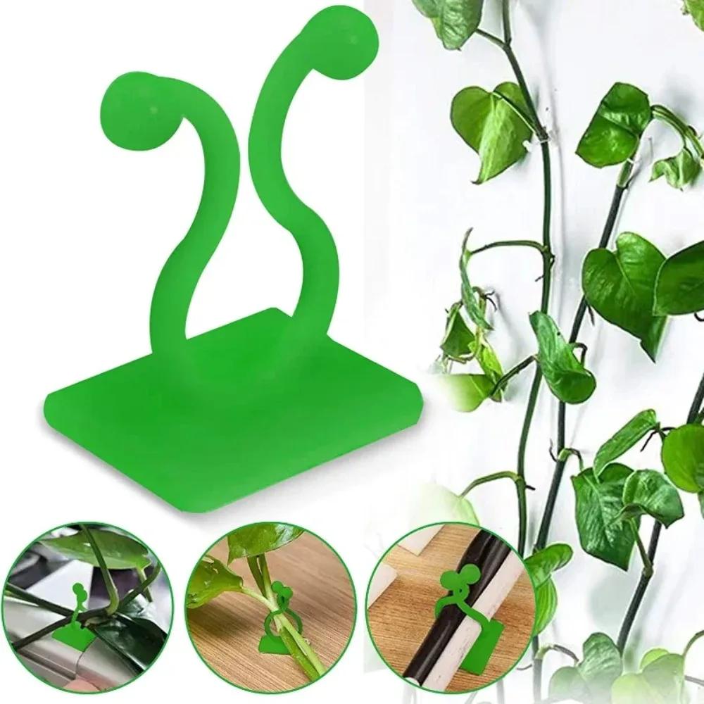 10-100PCS Plant Climbing Wall Fixture Clips Self-Adhesive Invisible Plant Support Garden Vine Climbing Fixture Plant Accessories