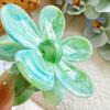 Resin Contemporary Hair Claw Clips In Eyecatching Colors For Trendy Looks Womens