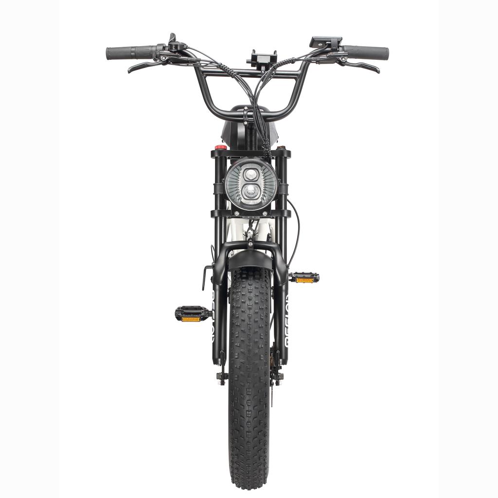 MEELOD DK300PLUS Adult Electric Bicycle 750W Motor 48V20Ah Battery Electrical Road Bike 20" Fat Tire Retro Urban Commuting Mountain E-Bike
