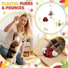 Interactive Plush Cats Toys Set, Realistic Insect & Rodent Shaped Pull String Cats Teasers For Indoor Cats, Self-Play & Interactive  Chew Toys