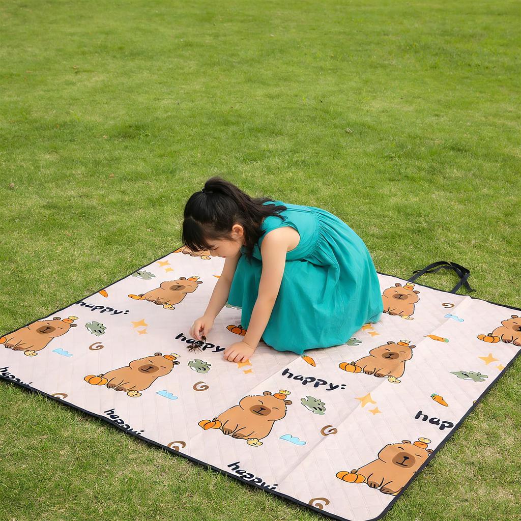 Picnic Blanket Water Proof Damp Proof Thickened Portable Foldable Picnic Mat for Outdoor Activities