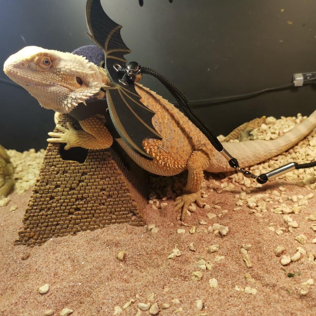 Lizard Harness Leather Chameleon Travel Leash For Small Pets