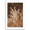 Canvas Print, Dry Grass On a Meadow