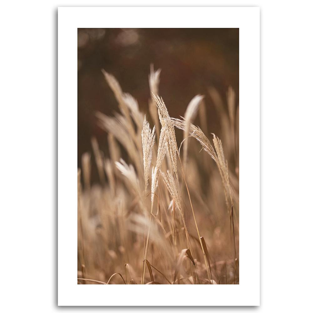 Canvas Print, Dry Grass On a Meadow