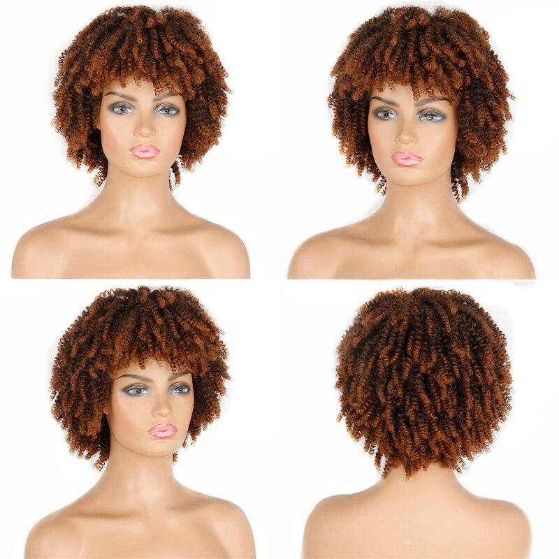 LISI HAIR Women's Short Afro Kinky Curly Wigs With Bangs Ombre Brown Synthetic Wig Black Daily Party Headgear with Clips