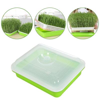 Nursery Paper Soilless Cultivation Plant Box Seed Sprouter Tray Grow Nursery Pots Sprout Pot