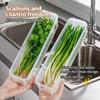 Sealed Refrigerator Storage Box Fresh Keeping Clear Food Container BPA Free for Kitchen Fridge Organization