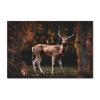 Docile Lion and Deer On the Canvas Painting Modern Animals Posters Prints Wall Art Pictures for Living Room Decoration Cuadros