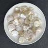 20Pcs, Natural Shell Beads with Holes, Bohemian Handcrafted Round Loose Beads, 2cm, for DIY Necklace Pendants, Jewellery Making, and Festive Crafts