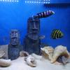 Resin Easter Island Statue & Roman Portrait - Aquarium & Reptile Decor