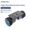 WHEELTEC 42 Stepper Motor Balancing Car Chassis
