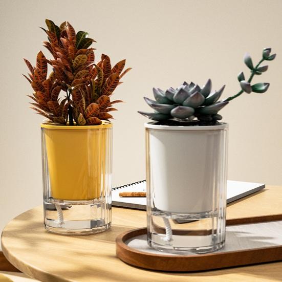 Selbstbewässerungstopf mit Abzugsloch Indoor Outdoor Hydrokulturpflanzentopf Tiefer Sichtbarer Vorratsbehälter Blumenpflanzgefäß mit Dochtseil