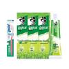 Tea Plus Longjing Green Tea Toothpaste & Toothbrush Set