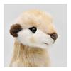 BH5326 HANSA Meerkat 33