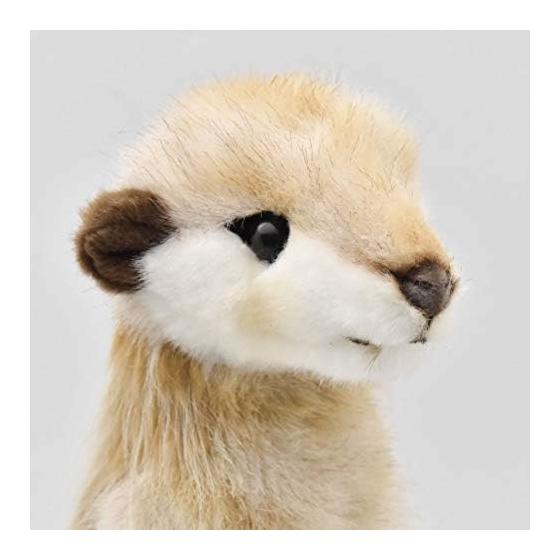BH5326 HANSA Meerkat 33