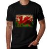 Wales T-Shirt Large Size Short Sleeve T-Shirt