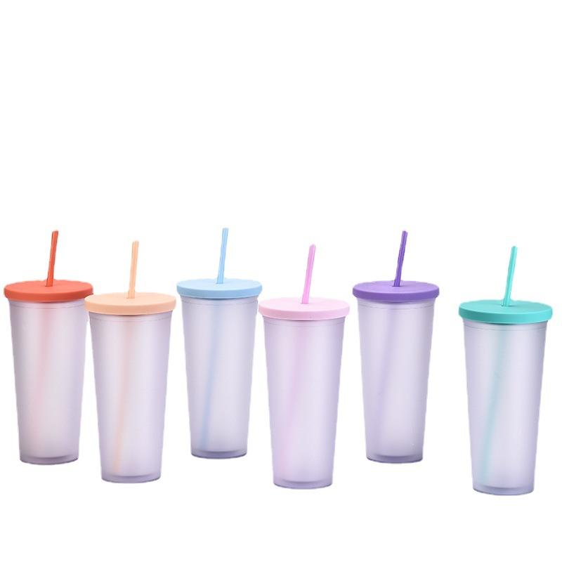 Double-Layer Plastic Straw Cup, Matte Cup, Outdoor Sports Water Cup