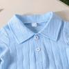 Toddler Boys Summer Lapel Short Sleeve Top and Shorts