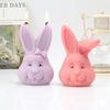 Easter Bunny Silicone Mold DIY Bowknot Grinning Rabbit Basket EggShape Multi Purpose Candle Plaster Tool Managed Holiday Decor