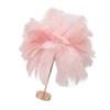 Ostrich Feather Table Lamp Rechargeable Modern Romantic Decoration Lamp Bedroom Bedside Lamp for Home Decoration