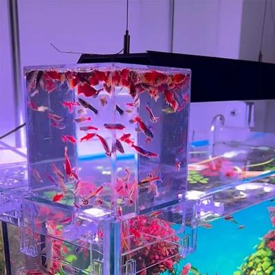 Transparent Acrylic Negative Pressure Fish Tank Practical Fish Tank Ecological Landscaping Decor For Office