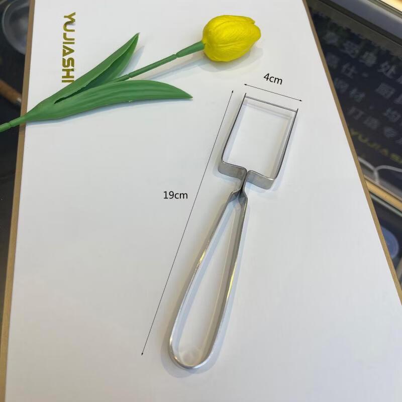 Stainless Steel Watermelon Slicer