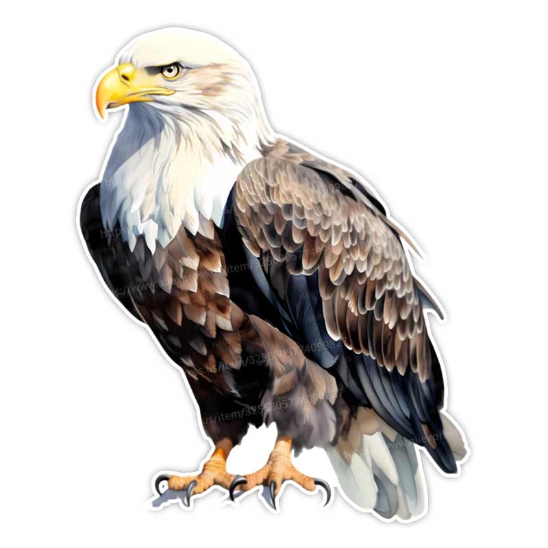 Eagle Standing on a Branch Car Sticker Waterproof Vinyl Decal on Bumper Rear Window Laptop Decal For Car Accessories Y161