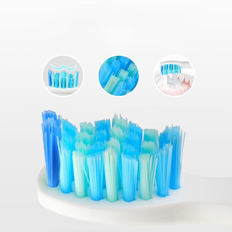 Seago E2 Sonic Electric Toothbrush