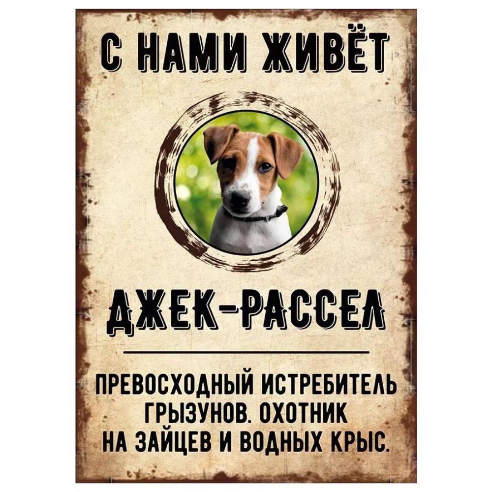 Schild, dekorativ, GEFAHR HUND, Schnauzer lebt bei uns, 20x30cm