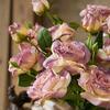 1Pc French Artificial Flower Single Stem 3-Headed Burnt Edge Rose for Wedding Home Decoration Holiday Decoration Valentine's Day Gift Birthday Gift